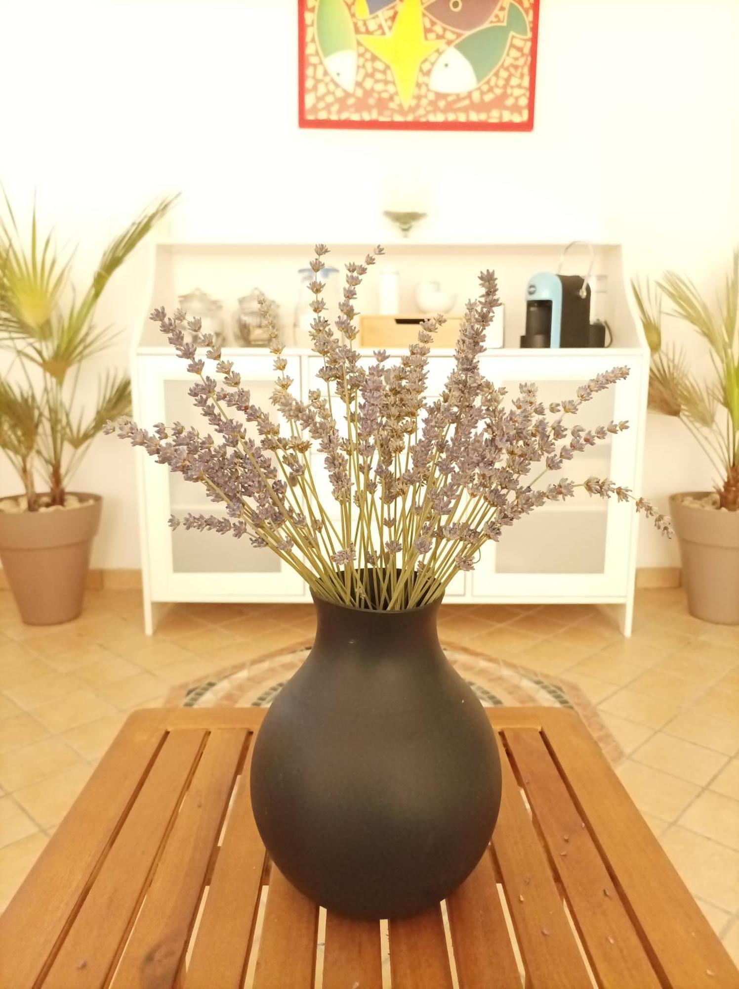 Villa Istonia Cupello Екстериор снимка